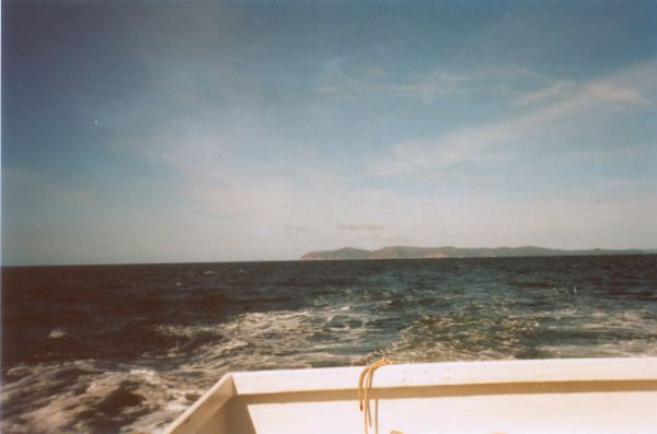 586: Red Island. (2002) [courtesy of Heather Walsh]